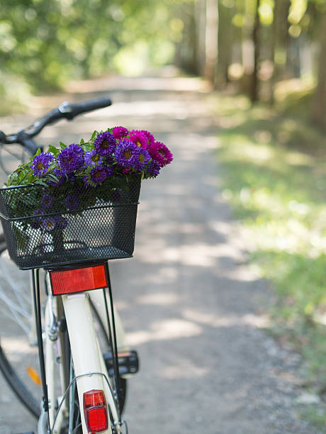 istock flowers and bicycle detail 510573086