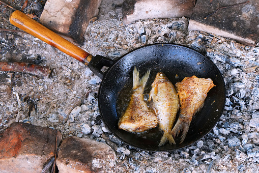 Two fried river fish in a cast iron skillet on the ashes from the fire.