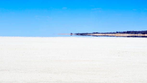 mirage sur le pan d'etosha en namibie - heat haze illusion desert heat photos et images de collection