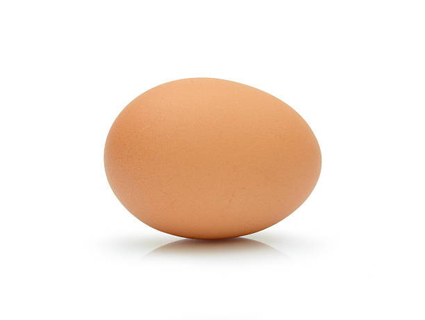 istock Single brown chicken egg isolated on white 510576226
