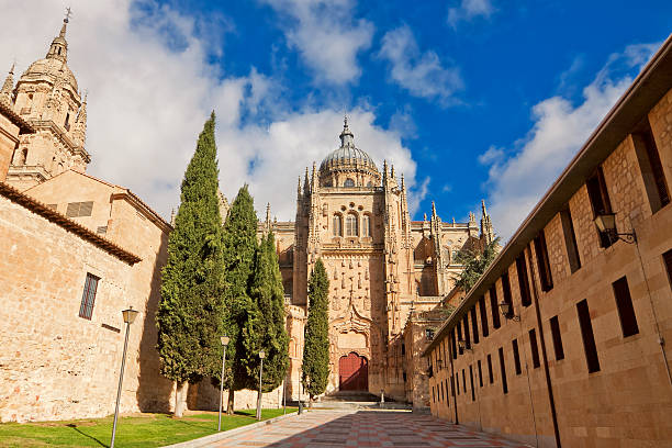 istock Salamanca Cathedral. Castile and Leon, Spain 510579056