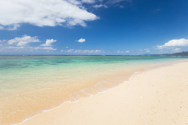 istock Beach (Ishigaki Yonehara Coast in Japan 510580170