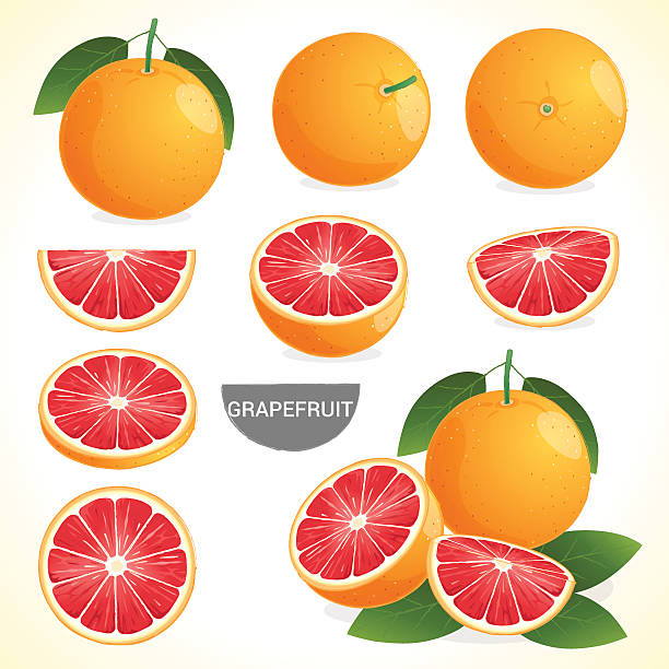 ilustrações de stock, clip art, desenhos animados e ícones de conjunto de toranja com folha em vários estilos formato do vector - grapefruit fruit freshness pink