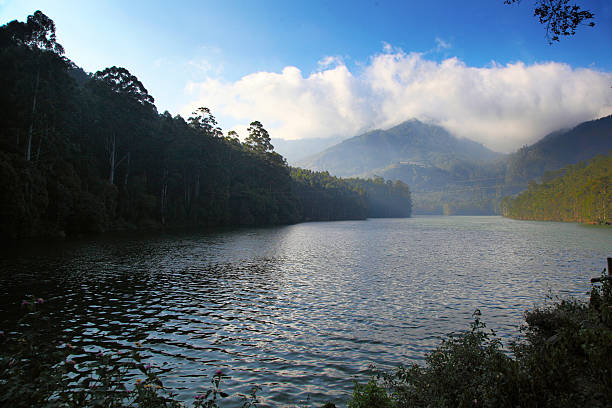 istock Mattupetty Dam 510586700