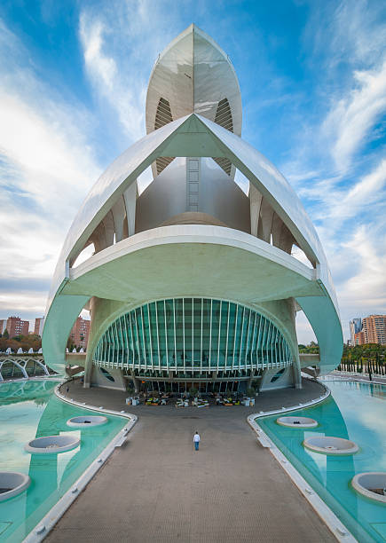 Valencia cityscape featuring the Opera house, at the arts centre. Valencia, Spain, 7 November, 2013. The Opera house at Palau de les Arts Reina Sofia. water balls for plants pictures stock pictures, royalty-free photos & images