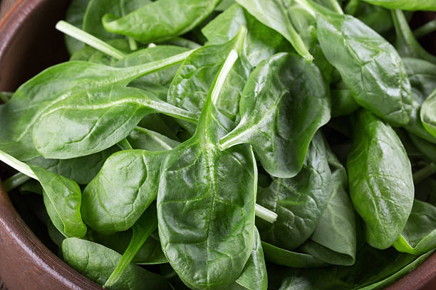 istock Fresh baby spinach leaves 510589118