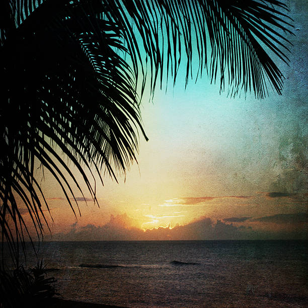 istock romantic paper background with palm trees and ocean 510590252