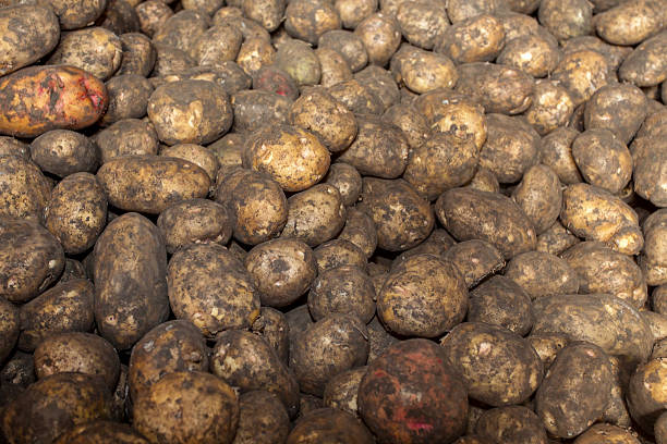 istock Organic potatoes on a market stall 510590928