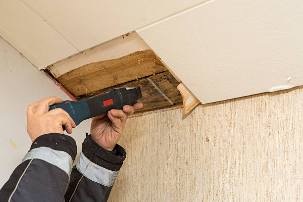 taking mold sample construction worker taking mold sample. moldy home. mold problem. water intrusion with mold. scientific exploration stock pictures, royalty-free photos & images