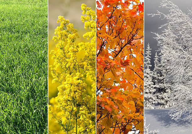 istock Collage of four seasons 510611378