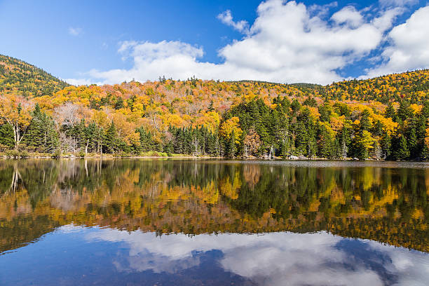 istock Colorful Autumn landscape and reflection 510611594