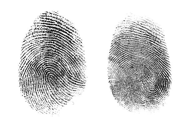 istock fingerprint or thumbprint set isolated 510611612
