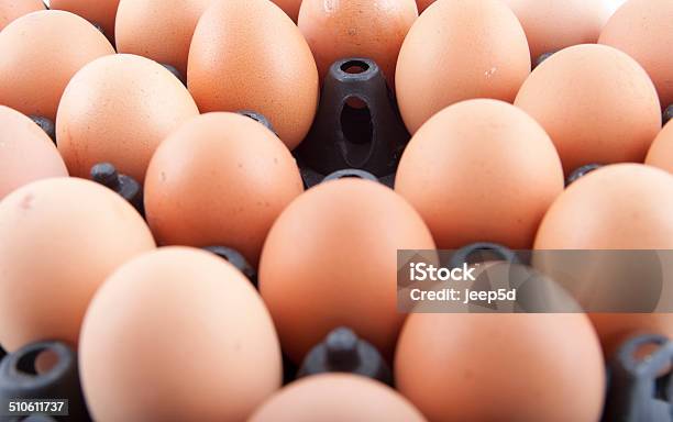 Eggs Panel Stock Photo - Download Image Now - Animal Egg, Backgrounds, Box - Container