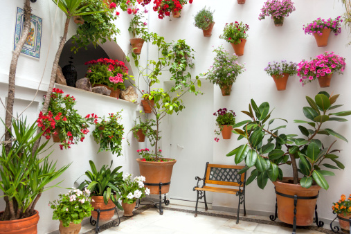 Spring Flowers Decoration of Old House, Spain, Cordoba Patio Fest, Europe
