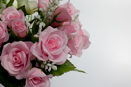 artificial pink rose on White background