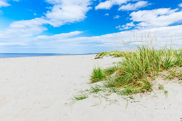 istock Deserted beach with marram grass 510613061