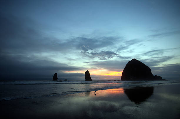 istock Sea stacks of Cannon Beach, north Oregon coastline 510613402