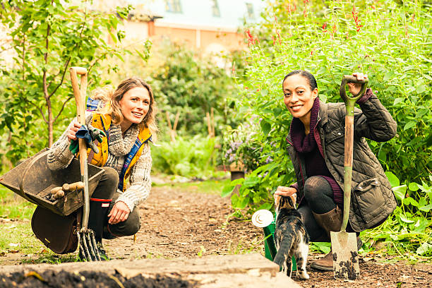 istock Two gardeners with their woking tools in a vegetable garden 510613721