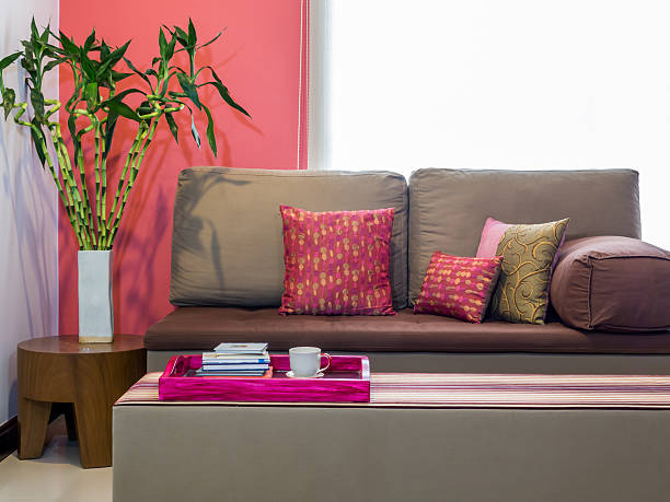 Modern living room with sofa and vase of Lucky bamboo stock photo