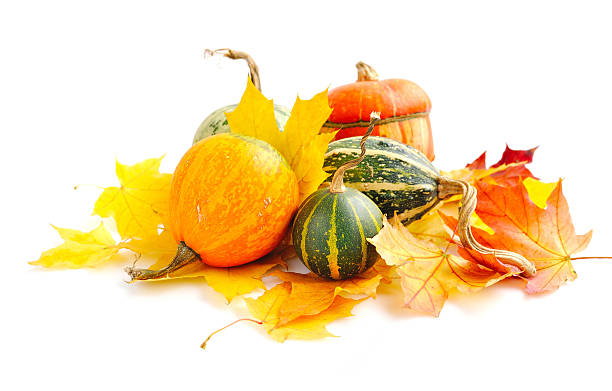 istock Decorative pumpkins and autumn leaves on a white background 510614000
