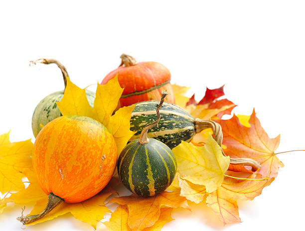 istock Decorative pumpkins and autumn leaves on a white background 510614032