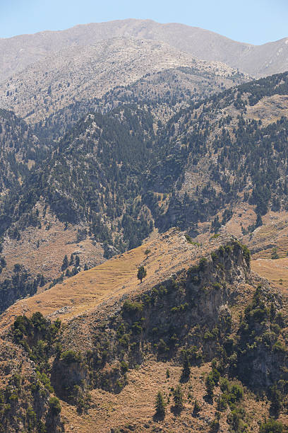 cretan 풍경, 임산. lakki 관점 - greece blue forest national landmark 뉴스 사진 이미지