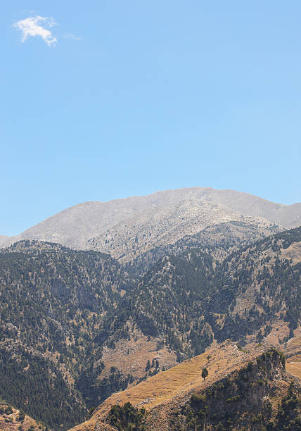 cretan 풍경, 임산. lakki 관점 - greece blue forest national landmark 뉴스 사진 이미지