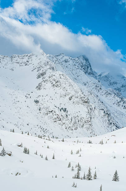 istock Winter Landscape with Snow and Trees 510614667