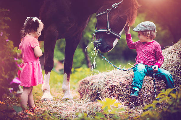 los niños y a horse - horse child animal feeding fotografías e imágenes de stock