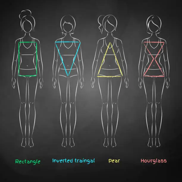 Vector illustration of Chalked female body types