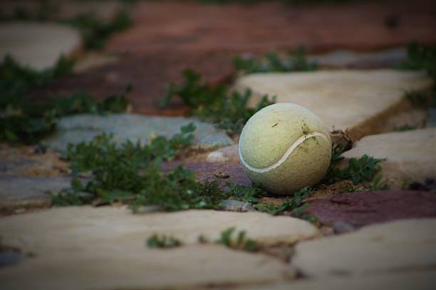 Tennis ball on the dirty ground after playing at the court for exercise or for fun.