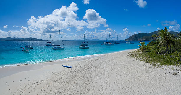 istock Elevated view of a Caribbean beach 510616686
