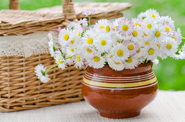 istock bouquet of daisies in a pot 510617272