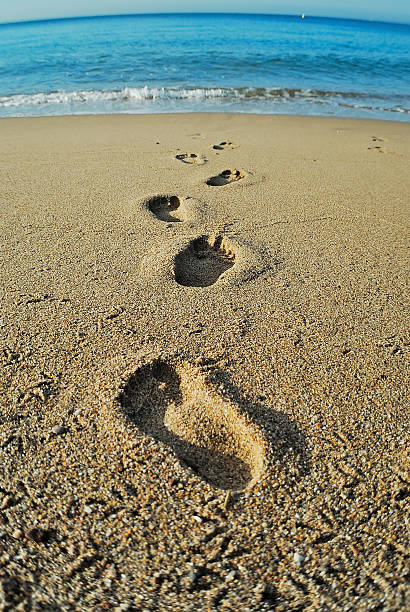 istock Road to the sea 510617849
