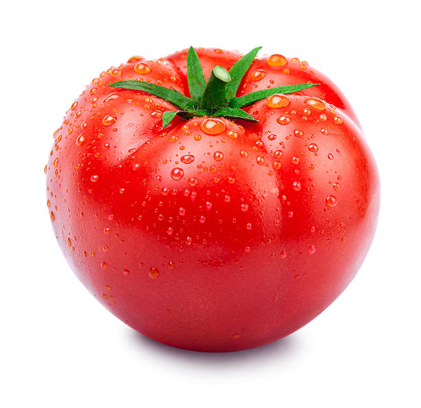 Wet organic ripe vine tomato against white