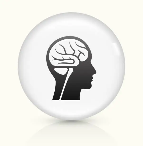 Vector illustration of Brain Scan icon on white round vector button
