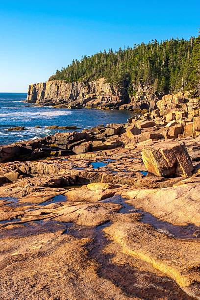 istock Otter Cliff, Mount Desert Island Maine 510621300