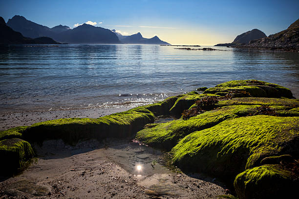 Beach on Lofoten in Unstad, Norway
