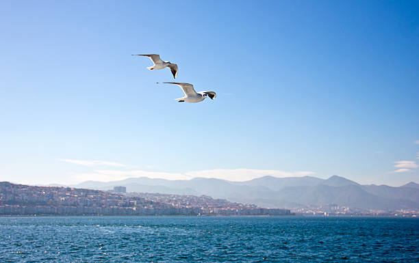 istock Aegean sea and izmir gulf 510625142
