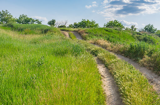 Earth road upward on a hill covered with spring herbs