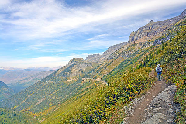istock Hiker Traveling on a Remote Alpine Trail 510625754