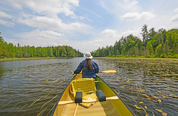 istock Canoer on a North Woods Lake 510625762