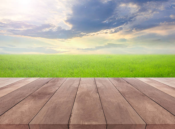 istock Wood plank and natural grass field with sky background 510625912