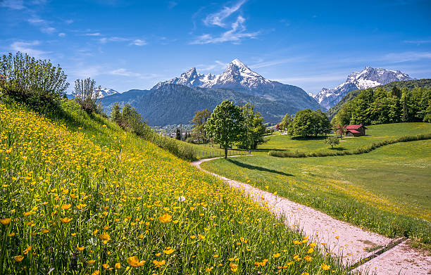 istock Idyllic landscape in the Alps with mountain pastures in springtime 510626930