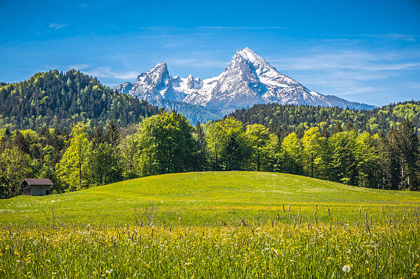 목가적인 풍경과 호주 알프스에서의 산 chalet in 봄 - watzmann 뉴스 사진 이미지