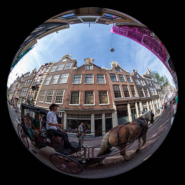 Amsterdam, Netherlands - August 5, 2015: Horse drawn carriage carrying tourists in a street in the historical centre of Amsterdam, Holland. The photo was shot with fisheye lens.