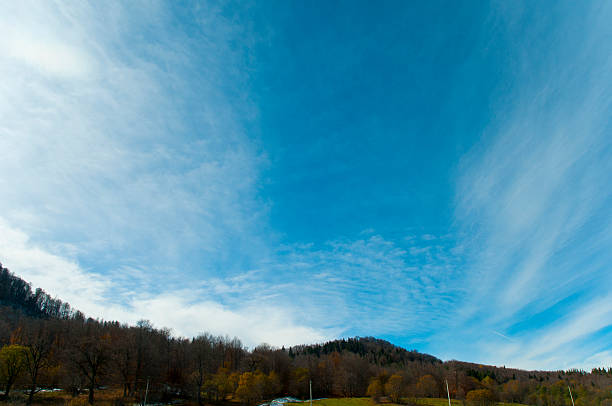 Głębokim lesie zielony i niebieski niebo w Bakuriani góry Krajobraz z chmurami – zdjęcie