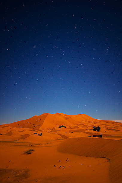 istock Starry Night Over Sand Dunes of the Sahara Desert 510629676
