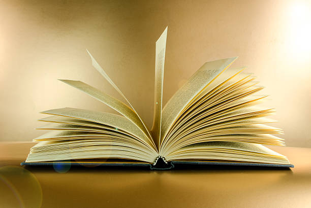 istock Pages of Open Book on Gold Background 510631368