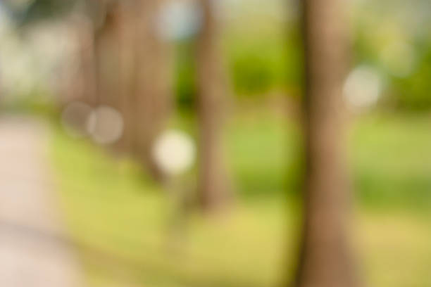 istock Sunny abstract green nature background 510631370